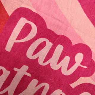 Frotē dvielis bērniem | Paw Patrol – Skaja un Everesta | 70x140 cm