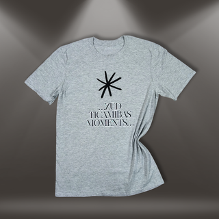Kokvilnas T-krekls "Zūd tiacmības moments" | pelēks